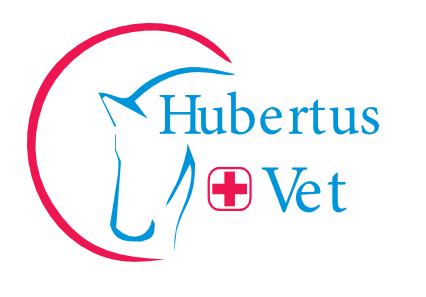 Hubertus Vet - weterynaria