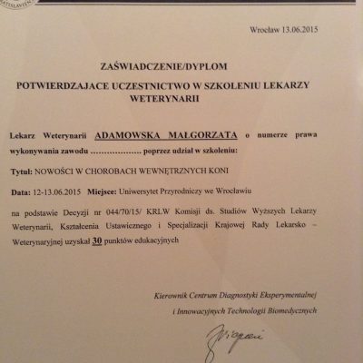 11411784_728583973938055_8155953030746645042_o (1)