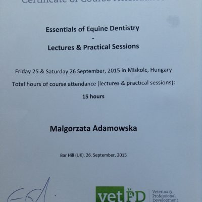 12038761_770508173078968_6124465611566942487_o (1)