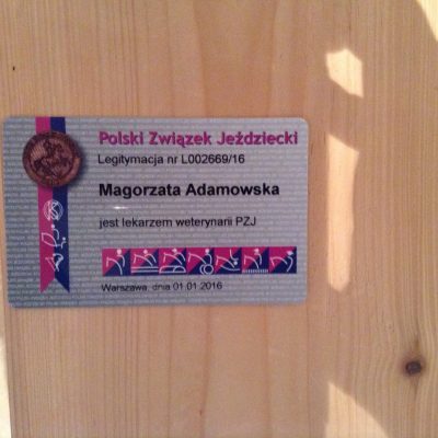 12605278_818274991635619_3800374363043779035_o