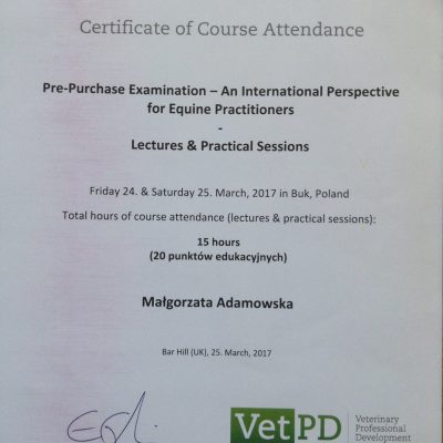 17855167_1180299052099876_3074274310181068272_o